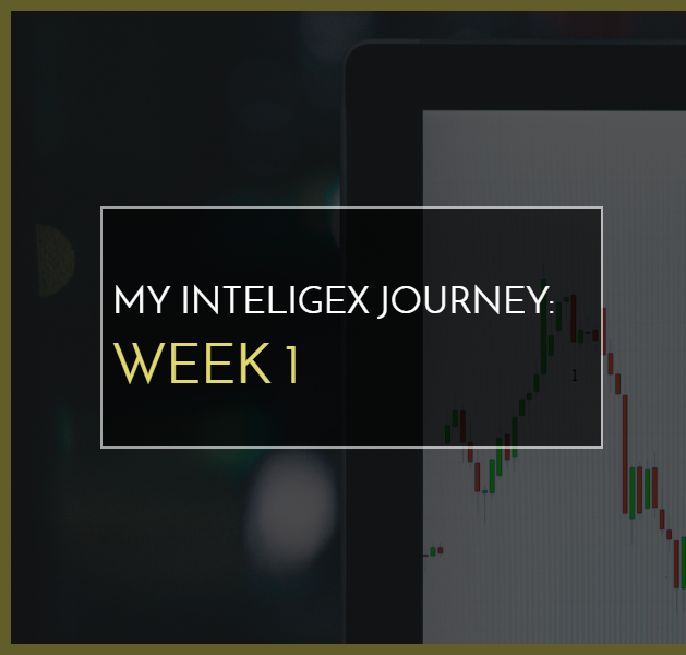 My Inteligex Journey Week 1 Branded Image