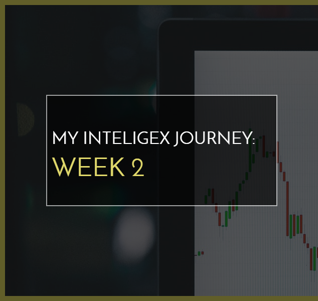 My Inteligex Journey Week 2 Branded Image