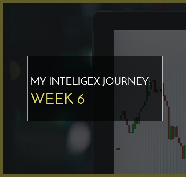 My Inteligex Journey Week 6 Branded Image
