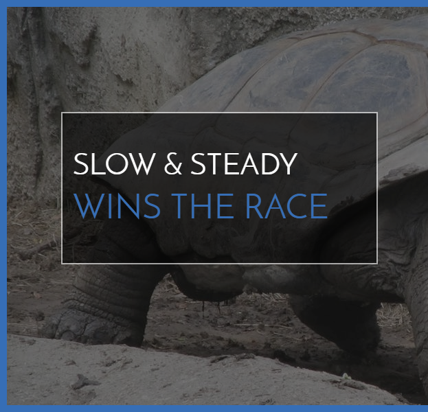 Slow & Steady Wins The Race Branded Image