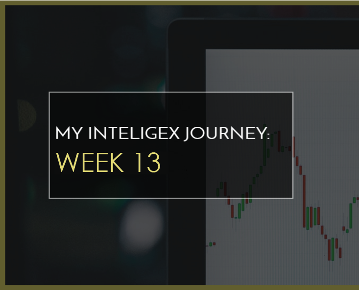 My Inteligex Journey Week 13 Branded Image