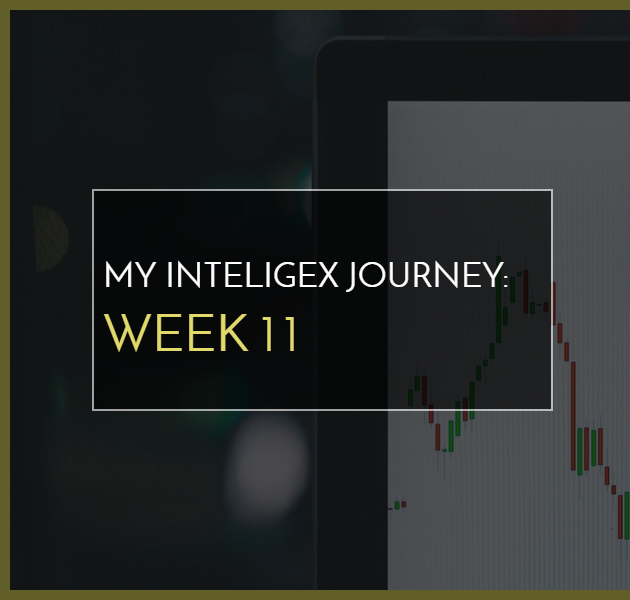 My Inteligex Journey Week 11 Branded Image