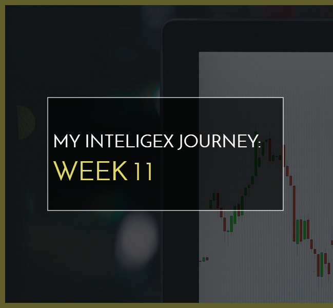 My Inteligex Journey Week 11 Branded Image