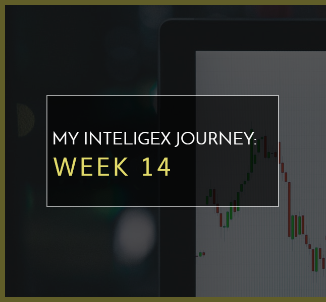 My Inteligex Journey Week 14 Branded Image