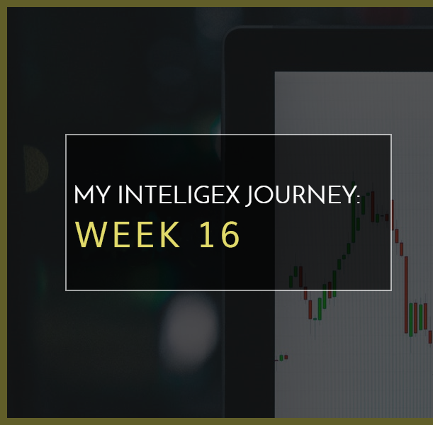 My Inteligex Journey Week 16 Branded Image