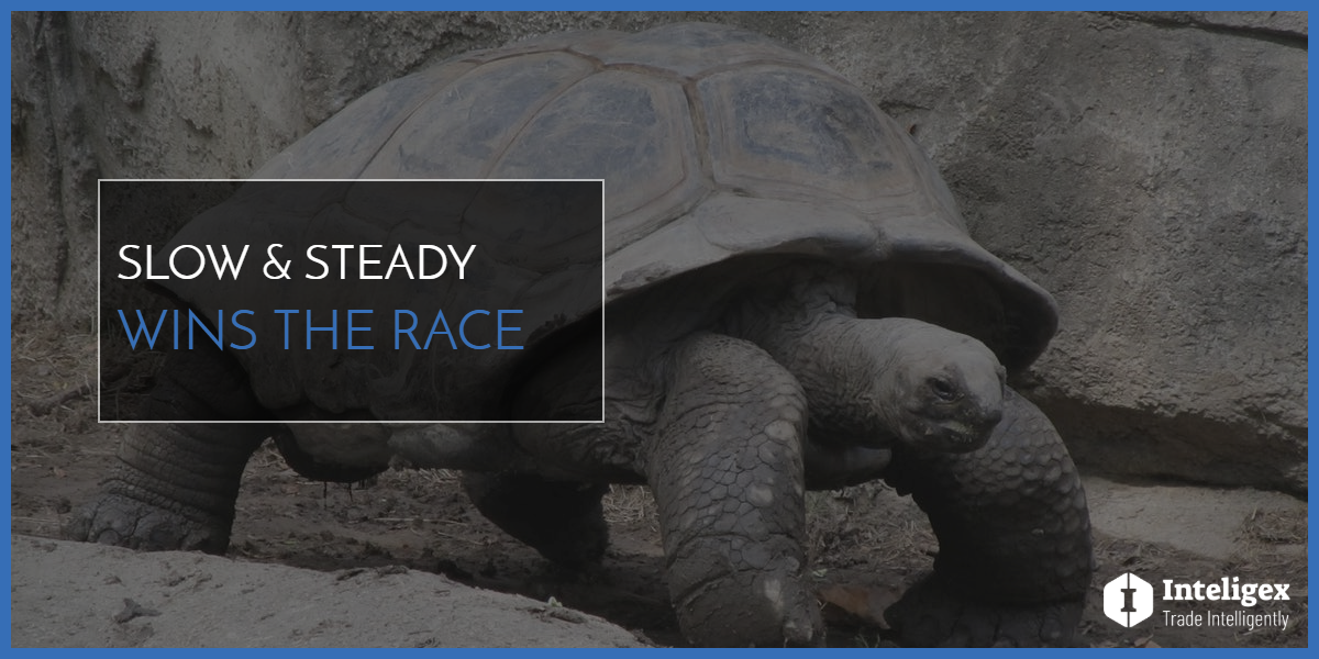Slow & Steady Wins the Race