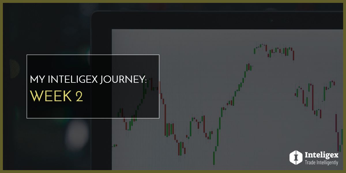My Inteligex Journey: Week 2